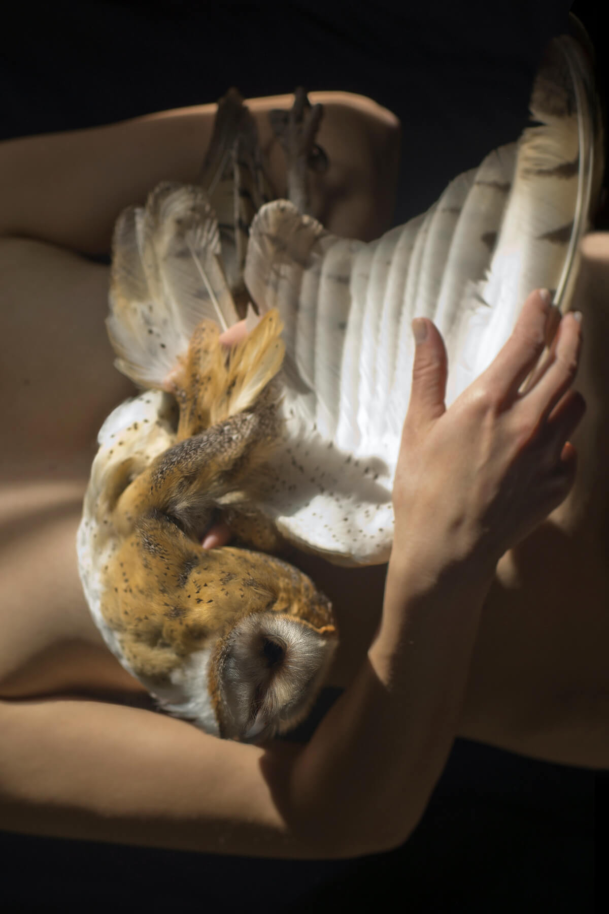 A photograph, dramatically lit, in which a white woman's naked torso is seen cradling in her arms the body of a light brown and white owl, with its white-feathered wing extended downward.