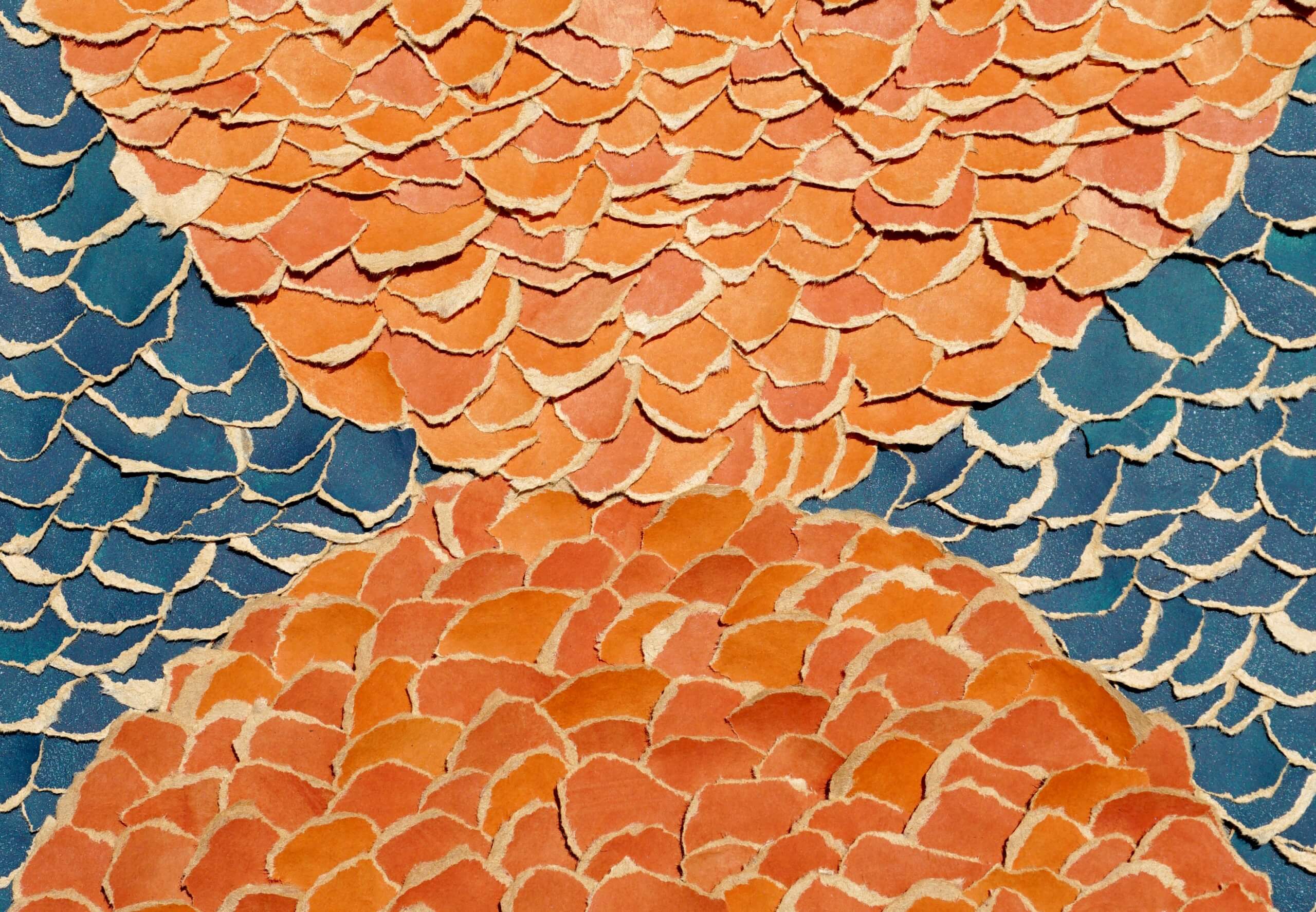 An abstract torn paper collage - orange paper torn into small circles is arranged to resemble fish scales, forming two semi-circles that meet in the center. Blue torn paper circles fill the gap behind the orange.