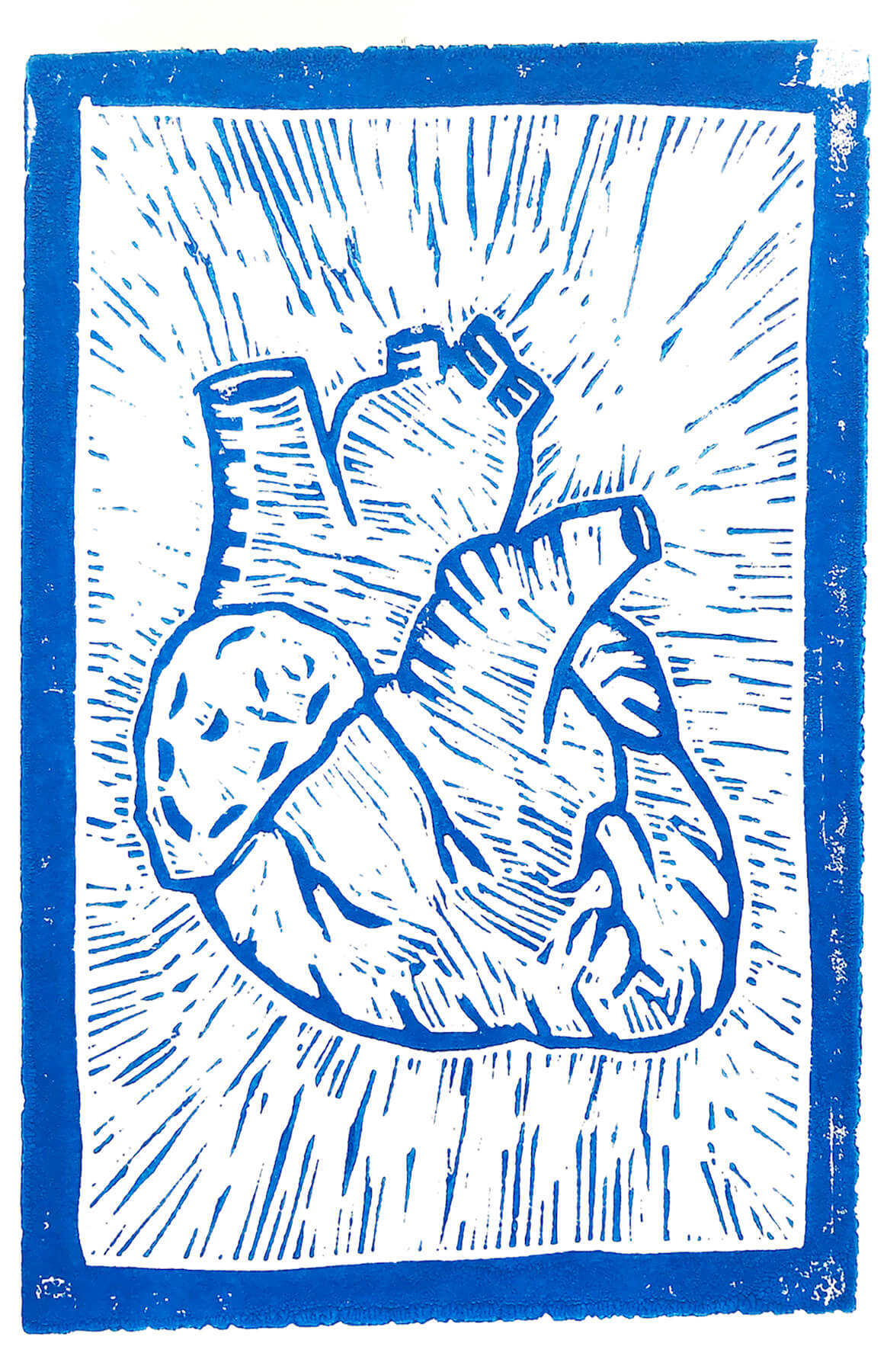 A lineoleum cut print in blue of a drawing of a human heart. The anatomically correct image seems to be pulsating.